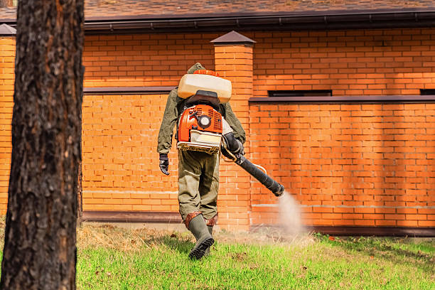 Trusted Emergency Pest Control service in Glendale Heights, IL - Nex Pest Control